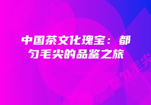 中国茶文化瑰宝：都匀毛尖的品鉴之旅