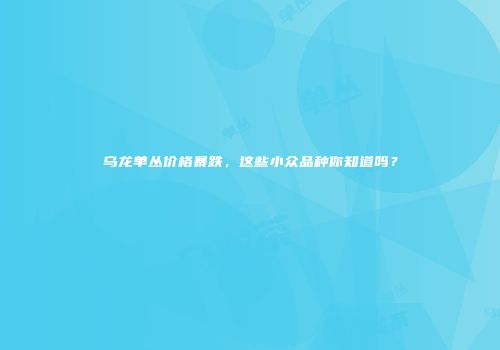 乌龙单丛价格暴跌，这些小众品种你知道吗？