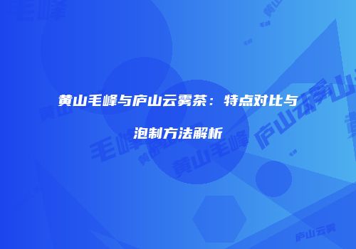 黄山毛峰与庐山云雾茶：特点对比与泡制方法解析
