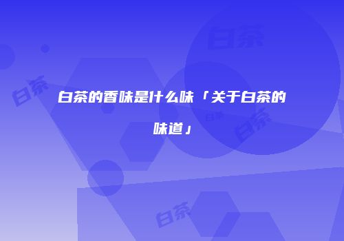 白茶的香味是什么味「关于白茶的味道」