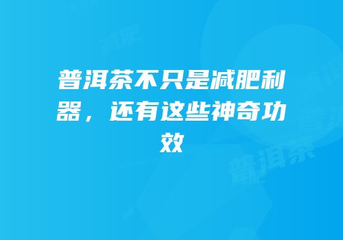 普洱茶不只是减肥利器，还有这些神奇功效