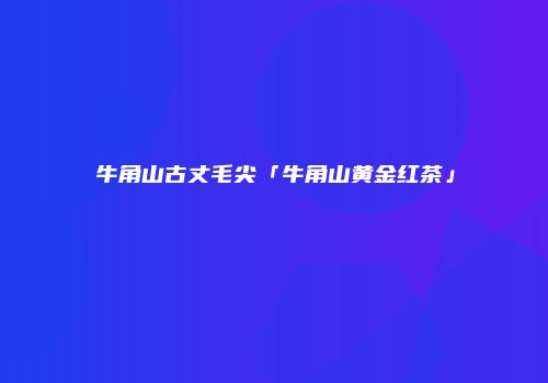 牛角山古丈毛尖「牛角山黄金红茶」
