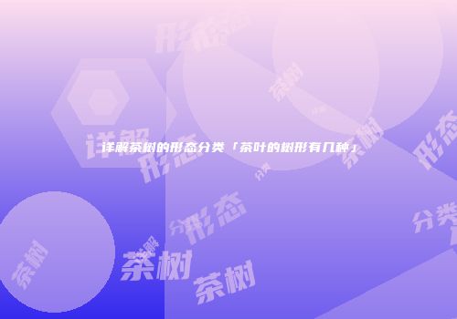 详解茶树的形态分类「茶叶的树形有几种」