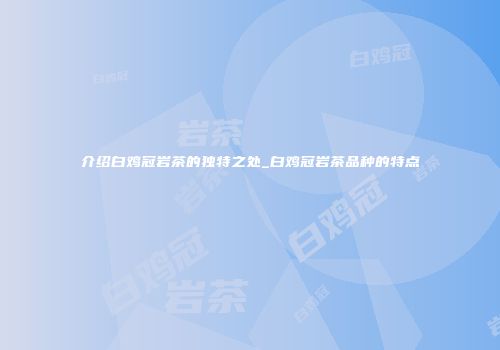 介绍白鸡冠岩茶的独特之处_白鸡冠岩茶品种的特点