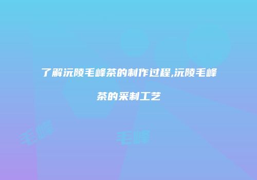 了解沅陵毛峰茶的制作过程,沅陵毛峰茶的采制工艺