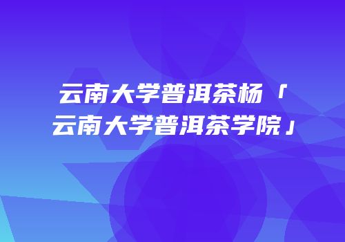 云南大学普洱茶杨「云南大学普洱茶学院」