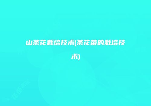 山茶花栽培技术(茶花苗的栽培技术)