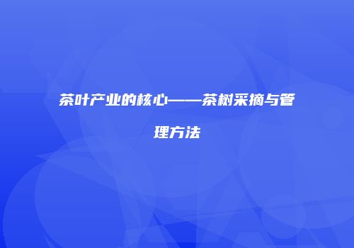 茶叶产业的核心——茶树采摘与管理方法