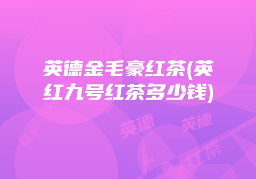 英德金毛豪红茶(英红九号红茶多少钱)