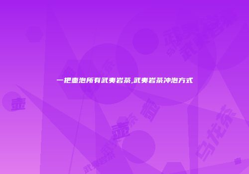 一把壶泡所有武夷岩茶,武夷岩茶冲泡方式