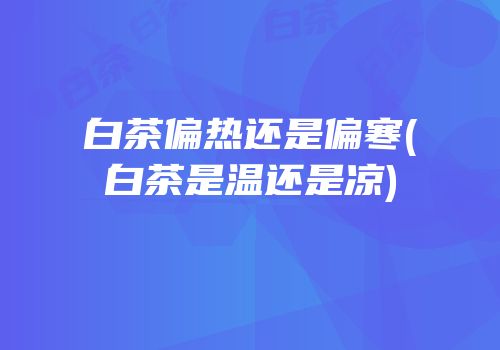 白茶偏热还是偏寒(白茶是温还是凉)
