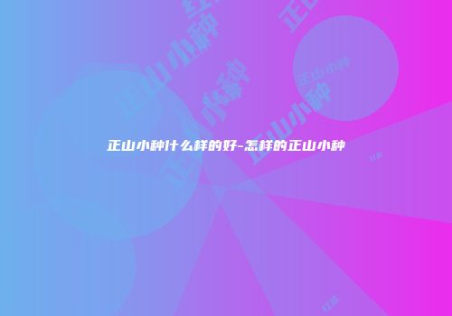 正山小种什么样的好-怎样的正山小种