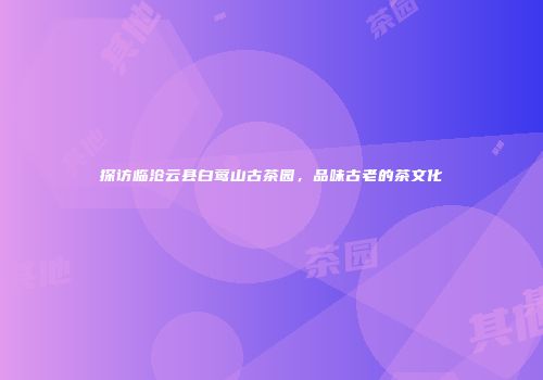 探访临沧云县白莺山古茶园，品味古老的茶文化