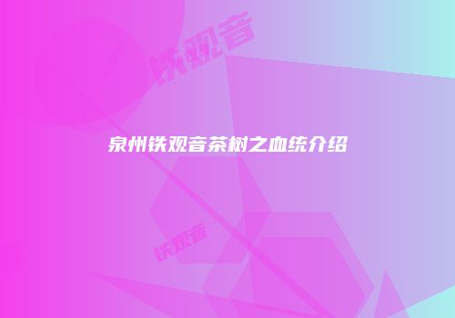 泉州铁观音茶树之血统介绍