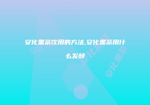 安化黑茶饮用的方法,安化黑茶用什么发酵
