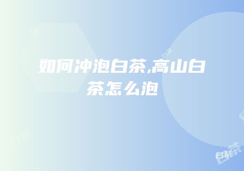 如何冲泡白茶,高山白茶怎么泡