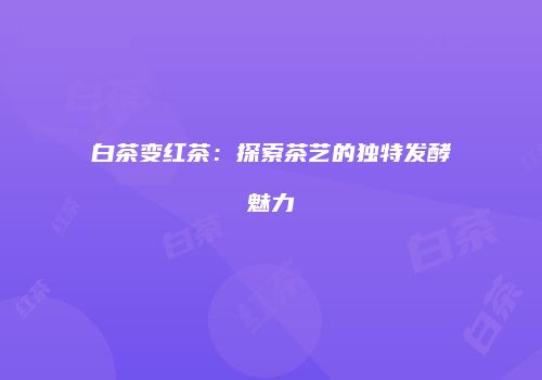 白茶变红茶：探索茶艺的独特发酵魅力