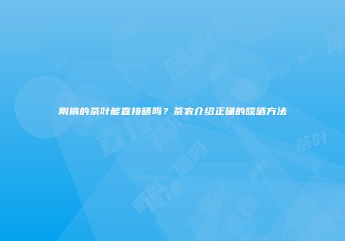 刚摘的茶叶能直接晒吗？茶农介绍正确的晾晒方法