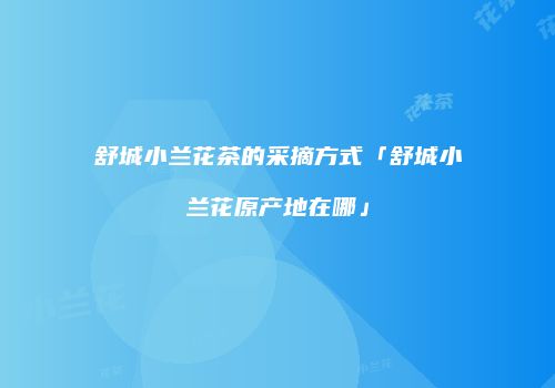 舒城小兰花茶的采摘方式「舒城小兰花原产地在哪」