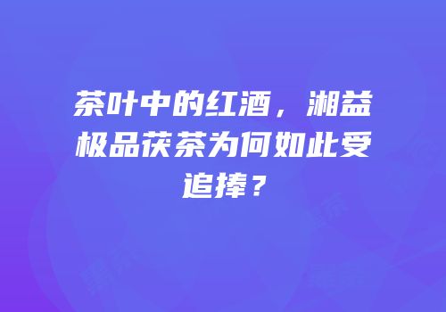 茶叶中的红酒，湘益极品茯茶为何如此受追捧？