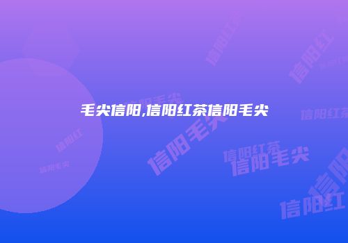 毛尖信阳,信阳红茶信阳毛尖