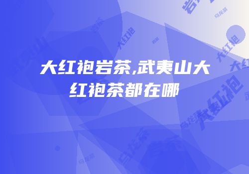 大红袍岩茶,武夷山大红袍茶都在哪