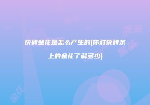 茯砖金花是怎么产生的(你对茯砖茶上的金花了解多少)