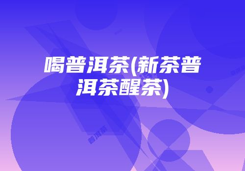 喝普洱茶(新茶普洱茶醒茶)