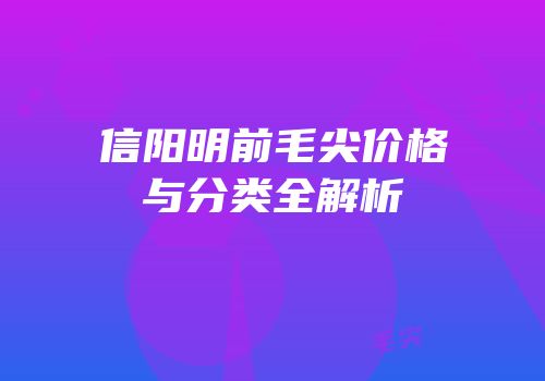 信阳明前毛尖价格与分类全解析