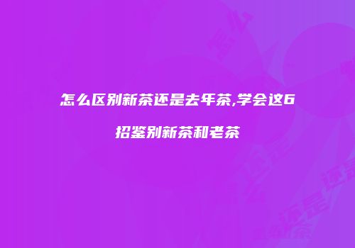 怎么区别新茶还是去年茶,学会这6招鉴别新茶和老茶