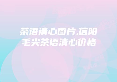 茶语清心图片,信阳毛尖茶语清心价格