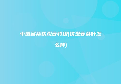 中国名茶铁观音特级(铁观音茶叶怎么样)
