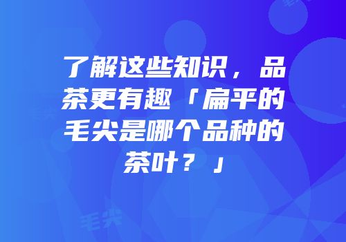了解这些知识，品茶更有趣「扁平的毛尖是哪个品种的茶叶？」