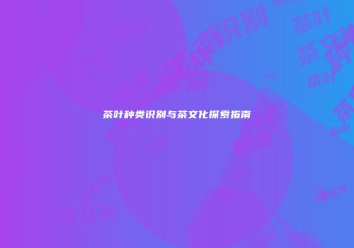 茶叶种类识别与茶文化探索指南