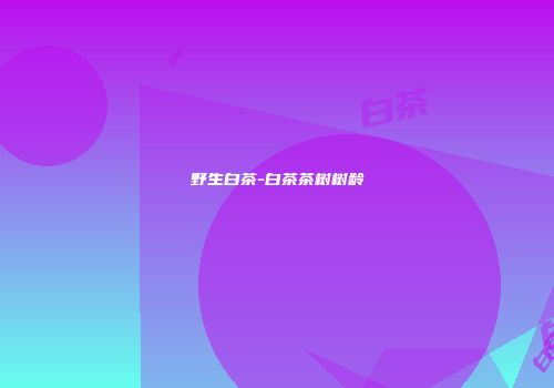 野生白茶-白茶茶树树龄