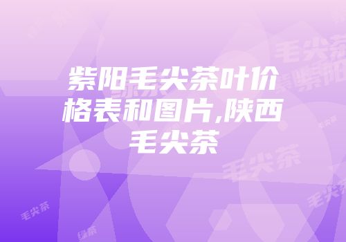 紫阳毛尖茶叶价格表和图片,陕西毛尖茶