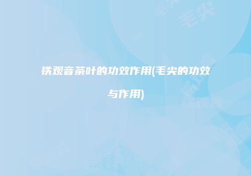 铁观音茶叶的功效作用(毛尖的功效与作用)