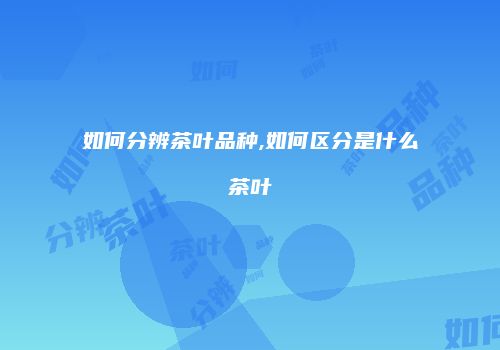 如何分辨茶叶品种,如何区分是什么茶叶