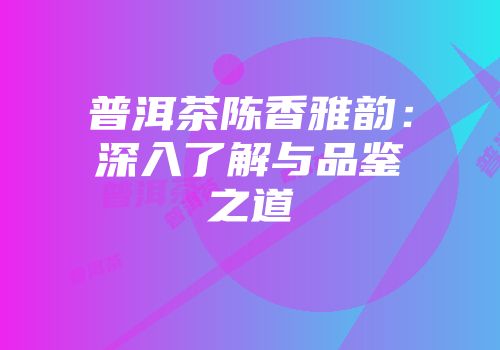 普洱茶陈香雅韵：深入了解与品鉴之道