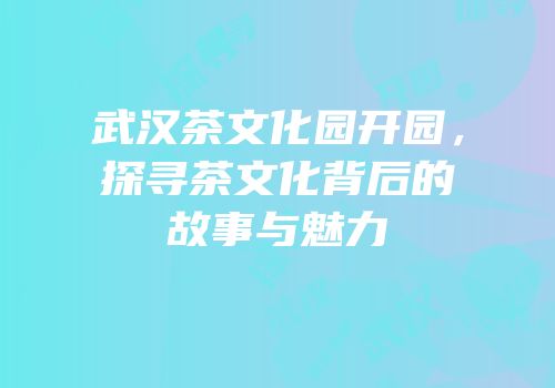 武汉茶文化园开园，探寻茶文化背后的故事与魅力