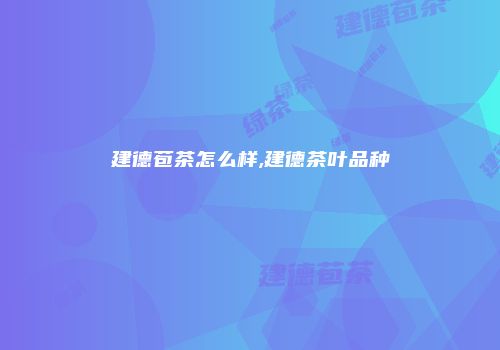 建德苞茶怎么样,建德茶叶品种
