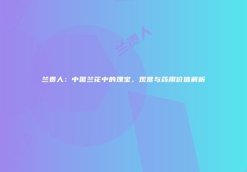 兰贵人：中国兰花中的瑰宝，观赏与药用价值解析
