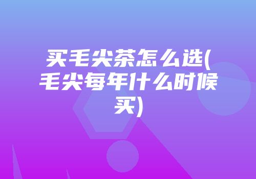 买毛尖茶怎么选(毛尖每年什么时候买)