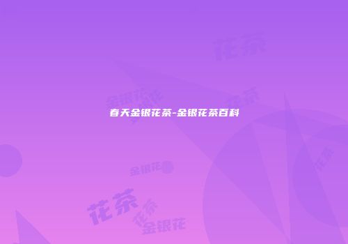 春天金银花茶-金银花茶百科