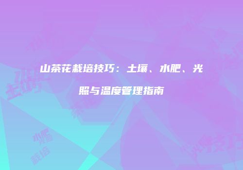 山茶花栽培技巧：土壤、水肥、光照与温度管理指南