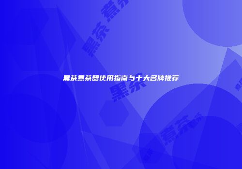黑茶煮茶器使用指南与十大名牌推荐