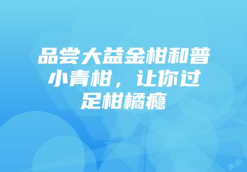 品尝大益金柑和普小青柑，让你过足柑橘瘾