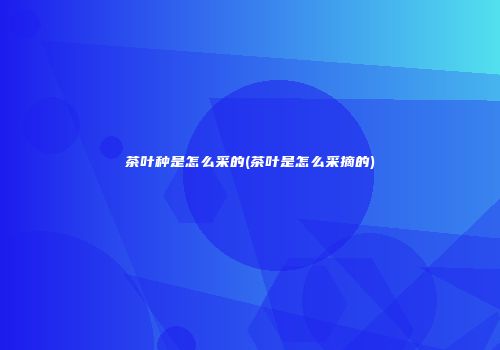 茶叶种是怎么采的(茶叶是怎么采摘的)