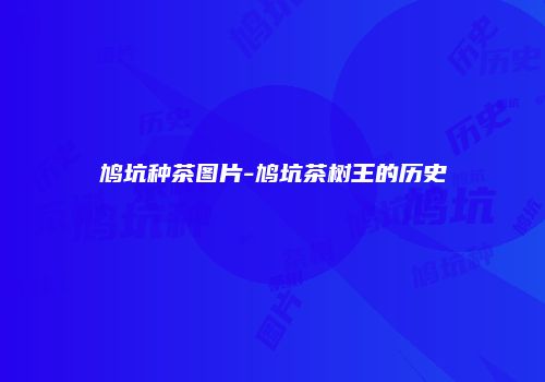 鸠坑种茶图片-鸠坑茶树王的历史