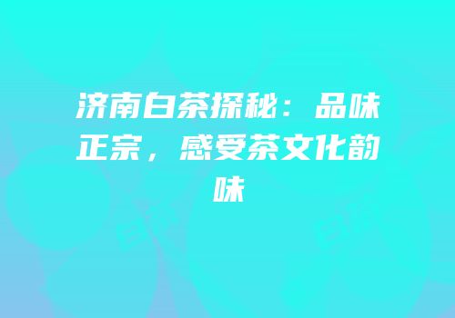 济南白茶探秘：品味正宗，感受茶文化韵味